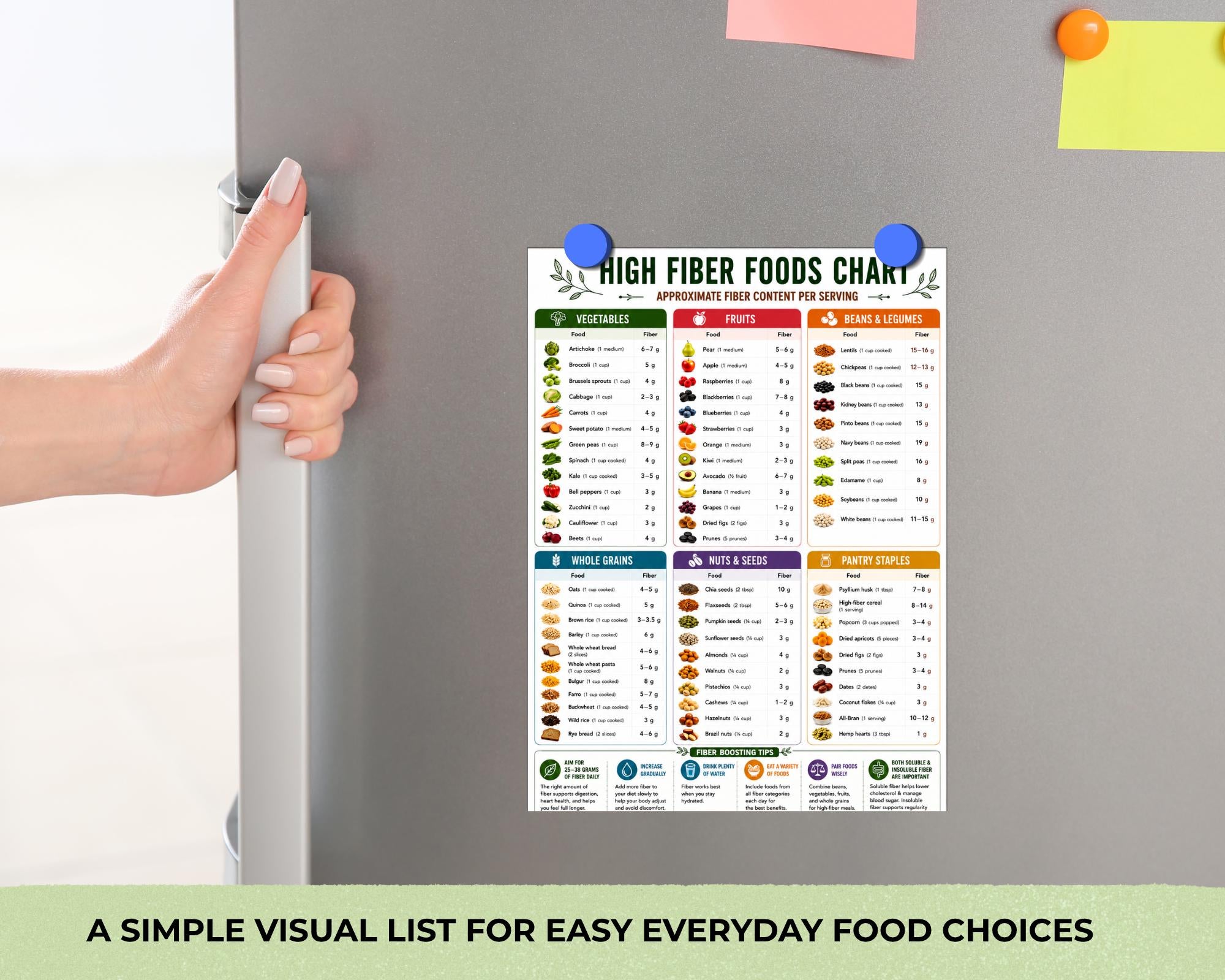High Fiber Foods Chart, Digestive Health Diet Guide Printable