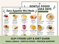 GLP-1 Food Guide Printable, Food List, Mini Meals and Nausea Foods PDF