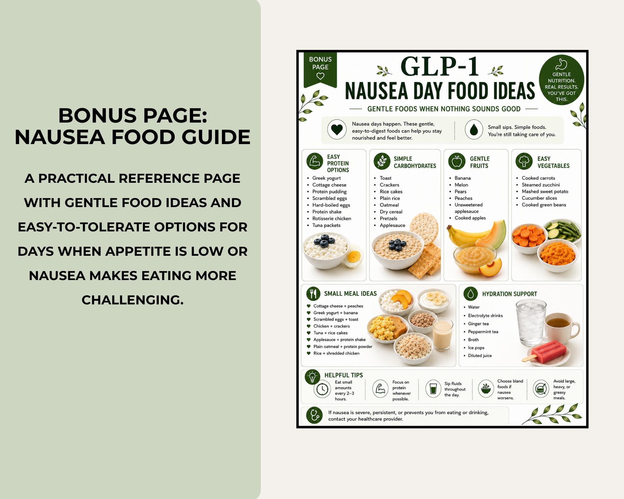 GLP-1 Meal Ideas Bundle, High Protein Breakfast, Lunch & Dinner Ideas + Nausea Foods Guide