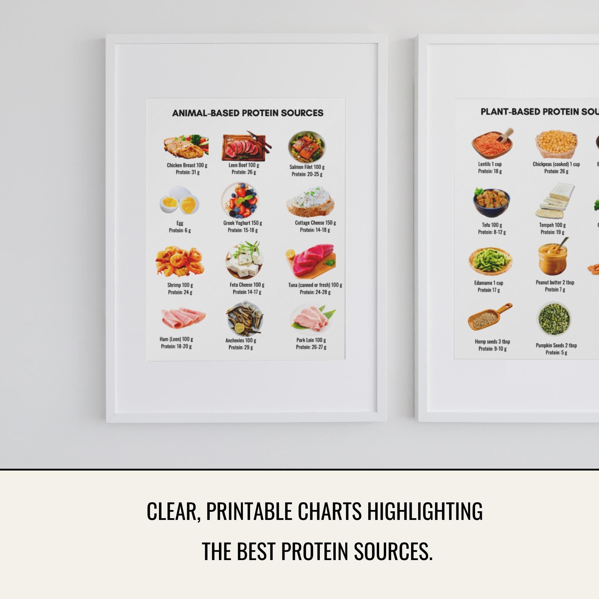 10 Day High Protein Meal Plan and Protein Guide