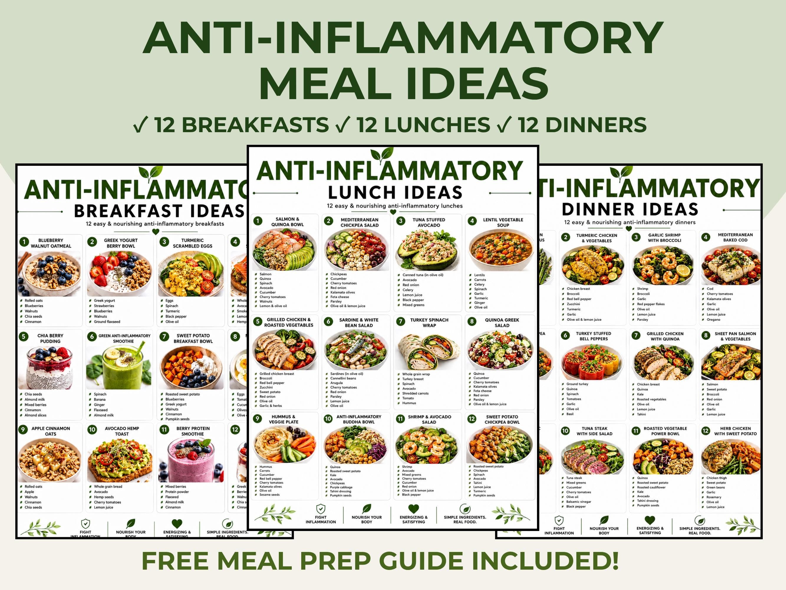 Anti Inflammatory Meal Ideas Printable, Breakfast Lunch Dinner Recipes, Healthy Eating Guide PDF