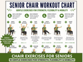Senior Chair Workout & Exercise Chart PDF