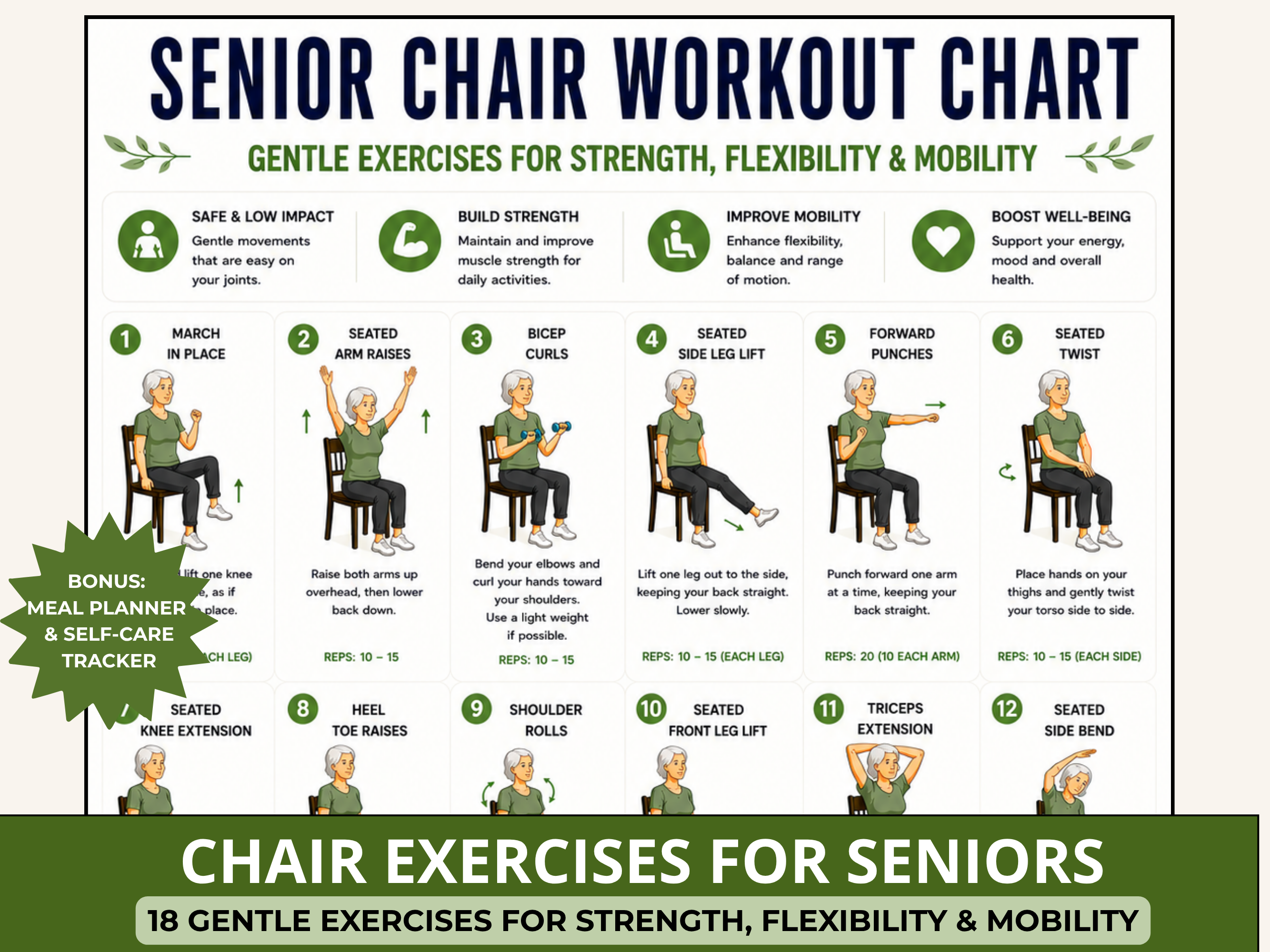 Senior Chair Workout & Exercise Chart PDF