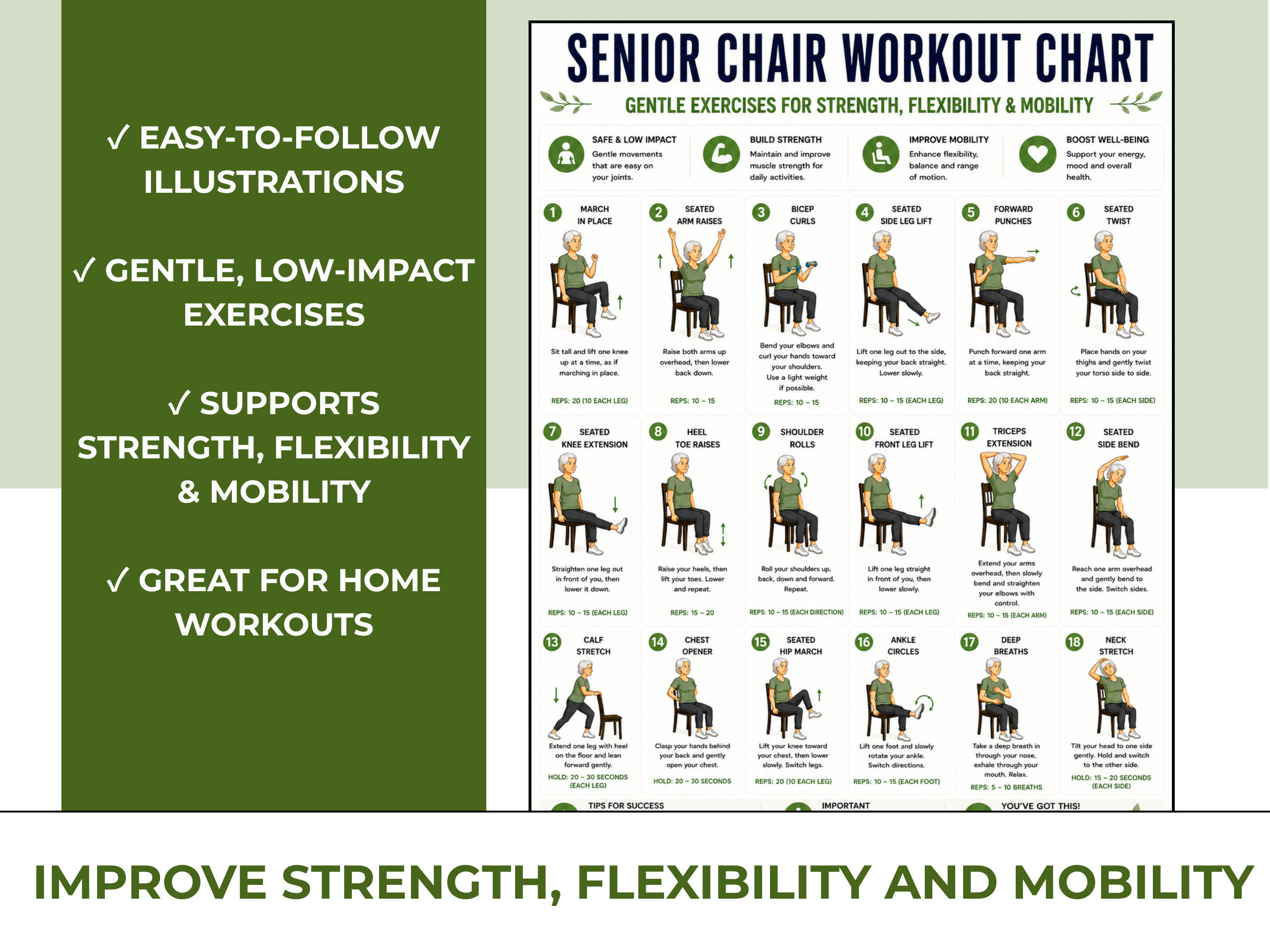 Senior Chair Workout & Exercise Chart PDF