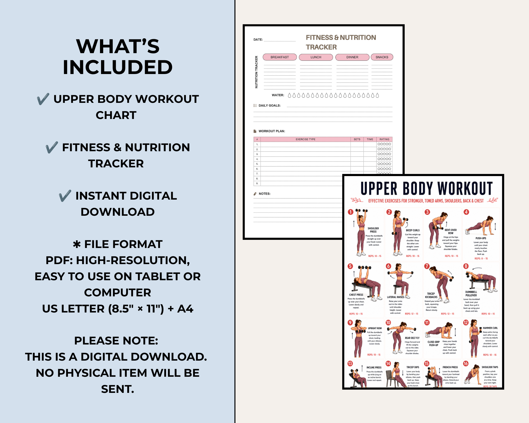 Upper Body Workout Chart, Dumbbell Exercise Poster PDF