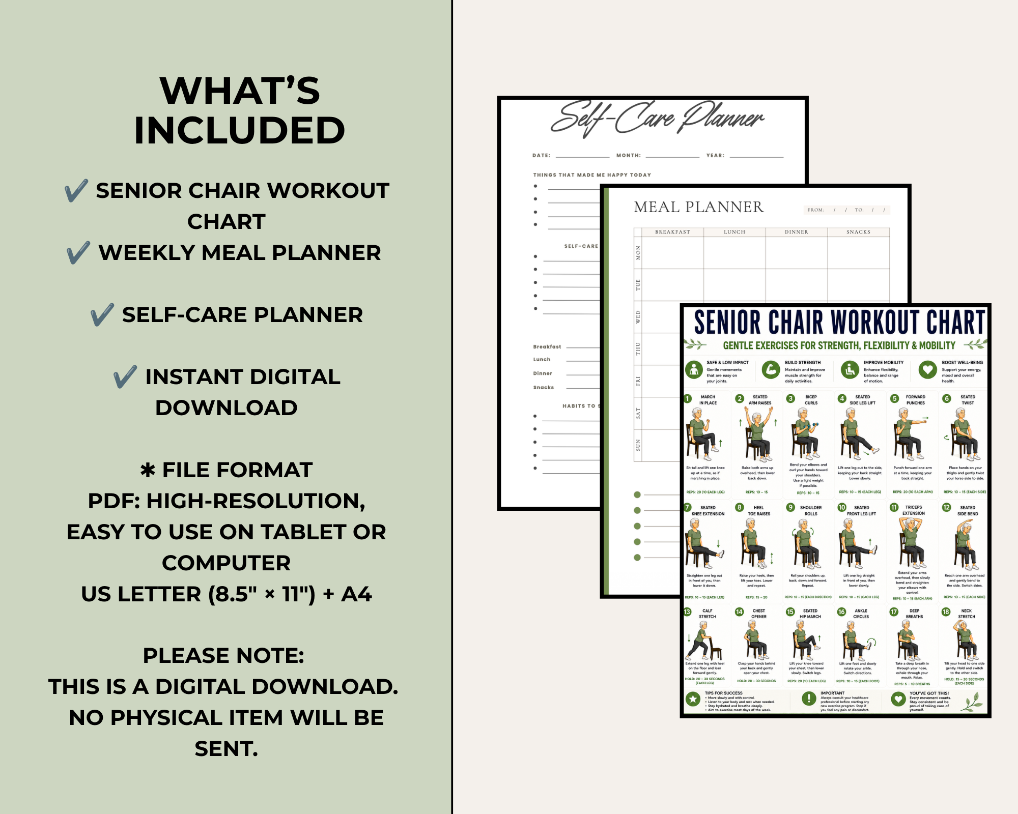 Senior Chair Workout & Exercise Chart PDF