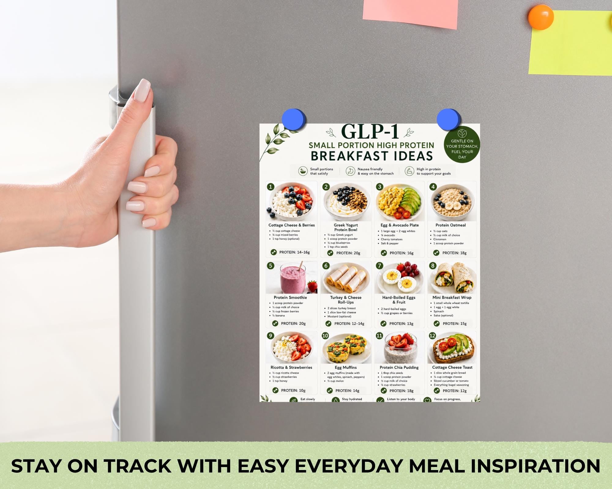 GLP-1 Meal Ideas Bundle, High Protein Breakfast, Lunch & Dinner Ideas + Nausea Foods Guide