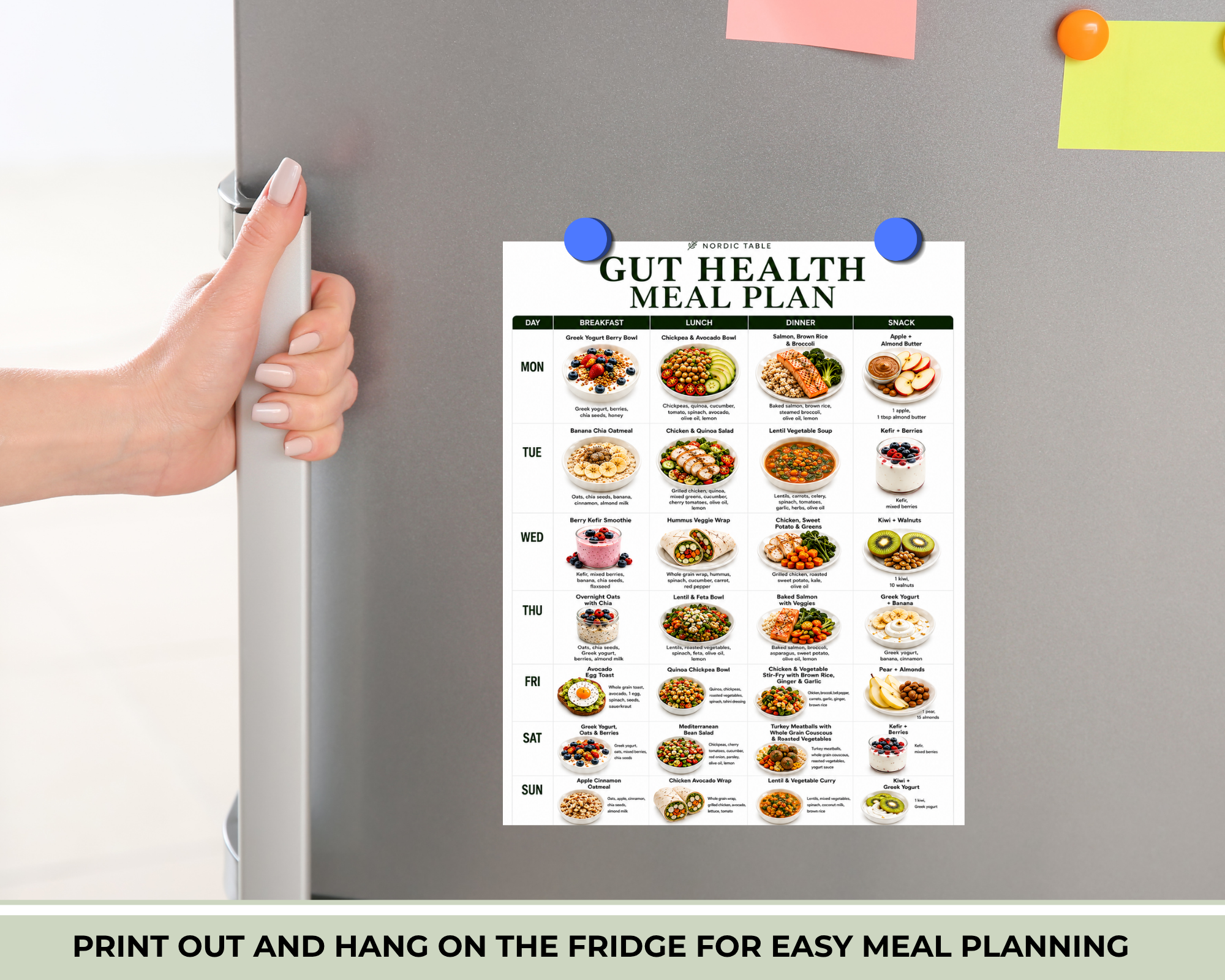 Gut Health Diet Plan, 7 Day Gut Health Meal Plan, 21 Easy Recipes, Gut Healthy Foods, Breakfast Lunch Dinner Recipes